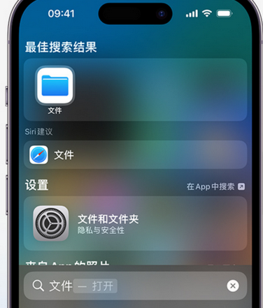 新政镇apple维修中心分享iPhone文件应用中存储和找到下载文件 