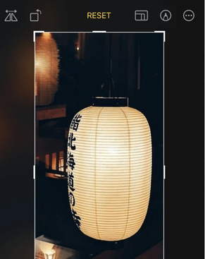 新政镇苹果手机维修店分享iOS17中一键式裁剪功能使用方法
