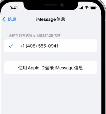 新政镇apple维修iPhone上无法正常发送iMessage信息 