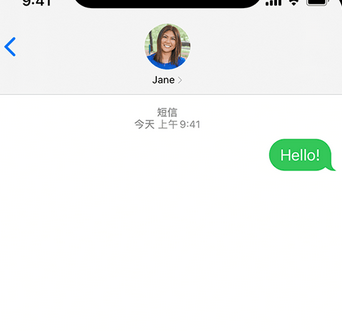 新政镇apple维修iPhone上无法正常发送iMessage信息