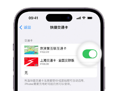 新政镇apple维修点分享iPhone上更换Apple Pay快捷交通卡手绘卡面 