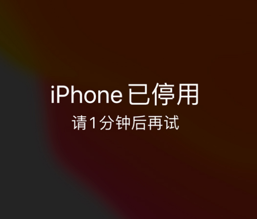 新政镇苹果手机维修分享:iPhone 显示“不可用”或“已停用”怎么办？还能保留数据吗？ 