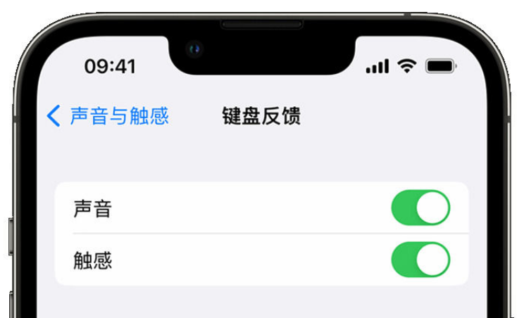 新政镇苹果手机维修分享iPhone 14触感键盘使用方法 