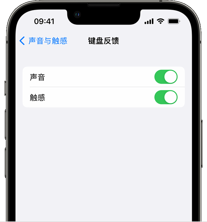 新政镇苹果14维修店分享如何在 iPhone 14 机型中使用触感键盘 