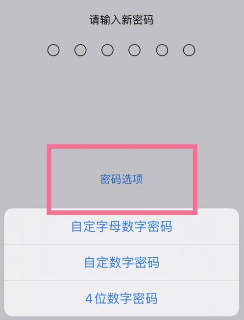 新政镇苹果14维修分享iPhone 14plus设置密码的方法 