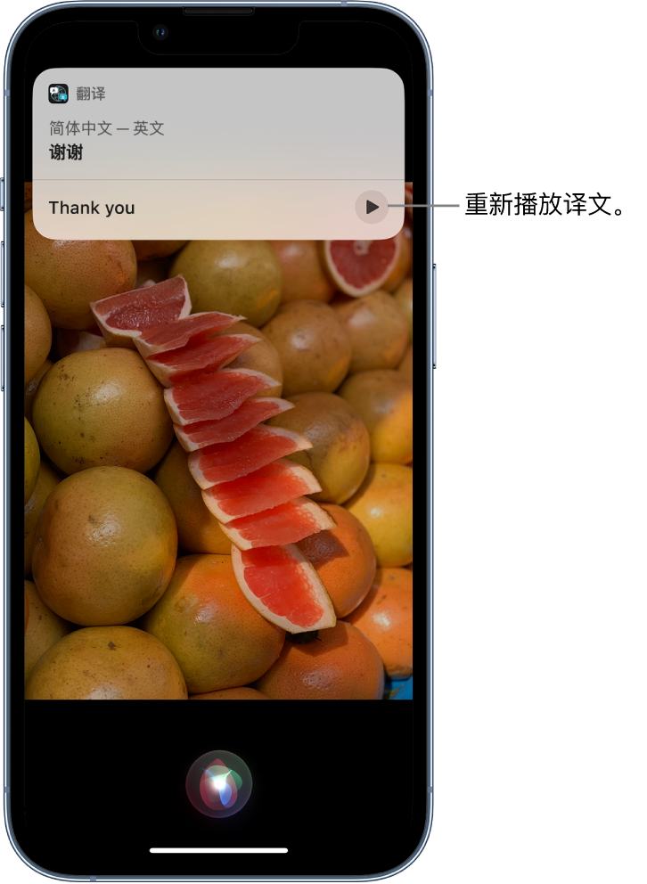 新政镇苹果14维修分享 iPhone 14 机型中使用 Siri：了解 Siri 能帮你做什么 