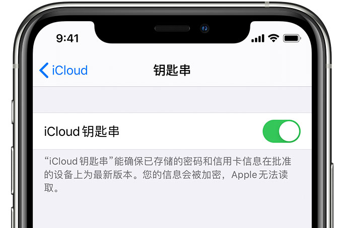 新政镇苹果手机维修分享在 iPhone 上开启 iCloud 钥匙串之后会储存哪些信息 