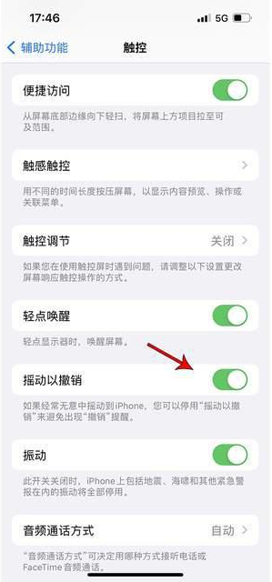 新政镇苹果手机维修分享iPhone手机如何设置摇一摇删除文字 