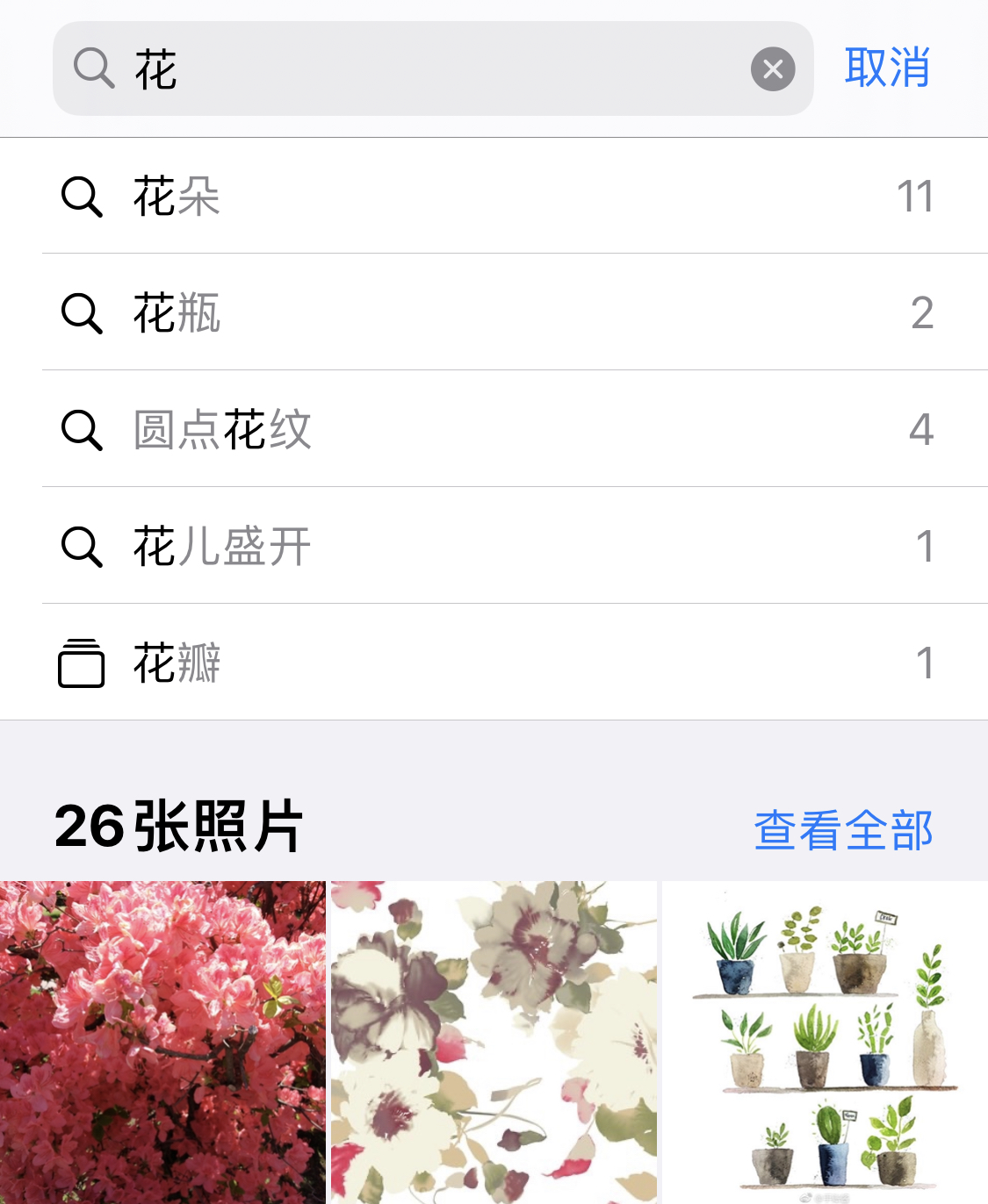 新政镇苹果手机维修分享iPhone 小技巧 