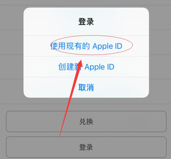 新政镇苹果手机维修分享两台iPhone设备可以同时登录一个Apple ID吗 